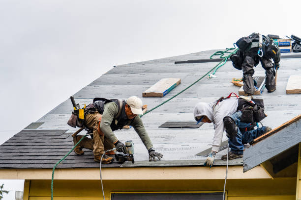 Professional Roofing technician working in Amazonia, MO