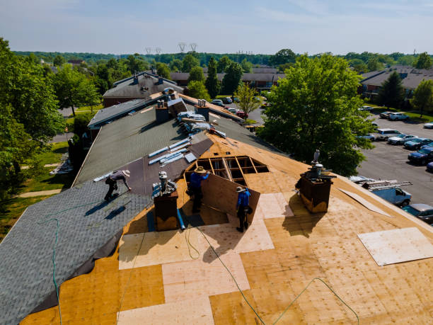 Trusted Metal Roofing service in Amazonia, MO - Brentwood Metal Roofing